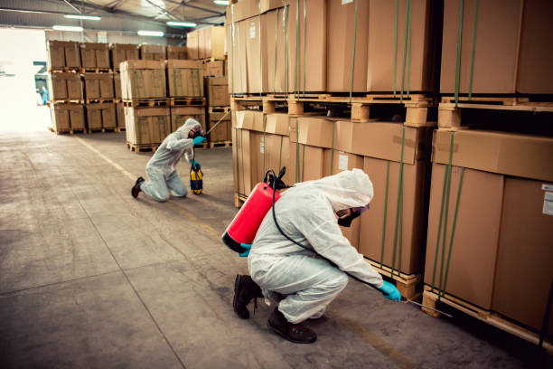 Best Exterminator Services  in Chesilhurst, NJ