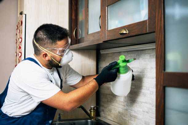 Reliable Chesilhurst, NJ Pest Control Solutions