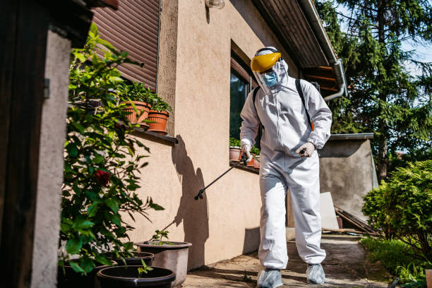 Best Cockroach Control Services  in Chesilhurst, NJ
