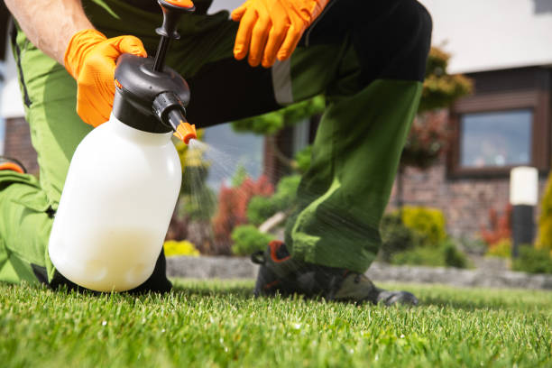 Best Best Pest Control Companies  in Chesilhurst, NJ