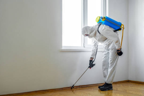 Pest Control for Restaurants in Chesilhurst, NJ