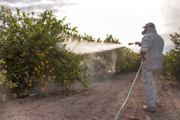 Best Emergency Pest Control  in Chesilhurst, NJ