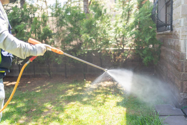 Best Local Pest Control Services  in Chesilhurst, NJ