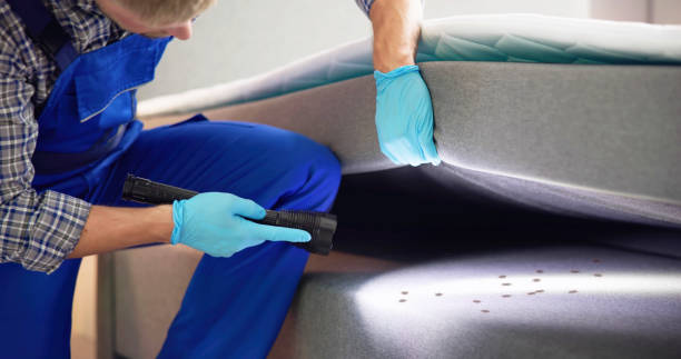 Best Pest Removal Services  in Chesilhurst, NJ