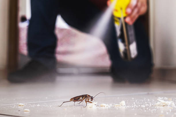 Best Pest Control for Restaurants  in Chesilhurst, NJ