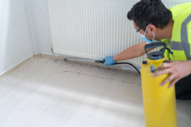 Best Affordable Pest Control Services  in Chesilhurst, NJ