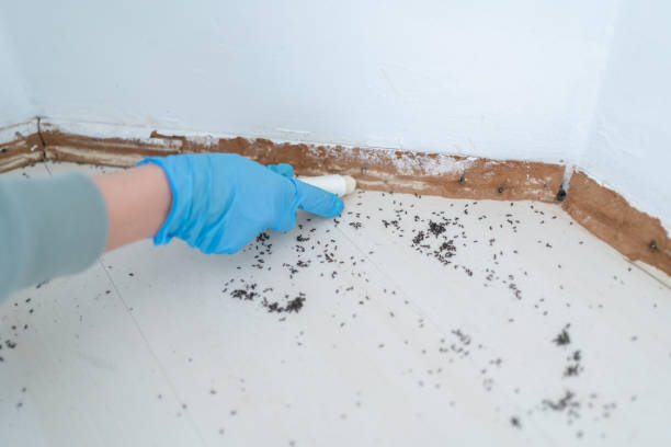 Best Pest Prevention Services  in Chesilhurst, NJ