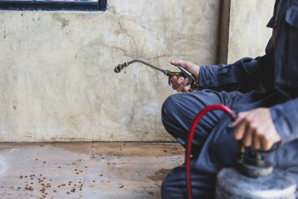 Best Affordable Pest Control Services  in Chesilhurst, NJ